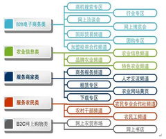 中國農(nóng)業(yè)信息網(wǎng)商務版運營模式探索 構建數(shù)字化農(nóng)業(yè)服務新生態(tài)